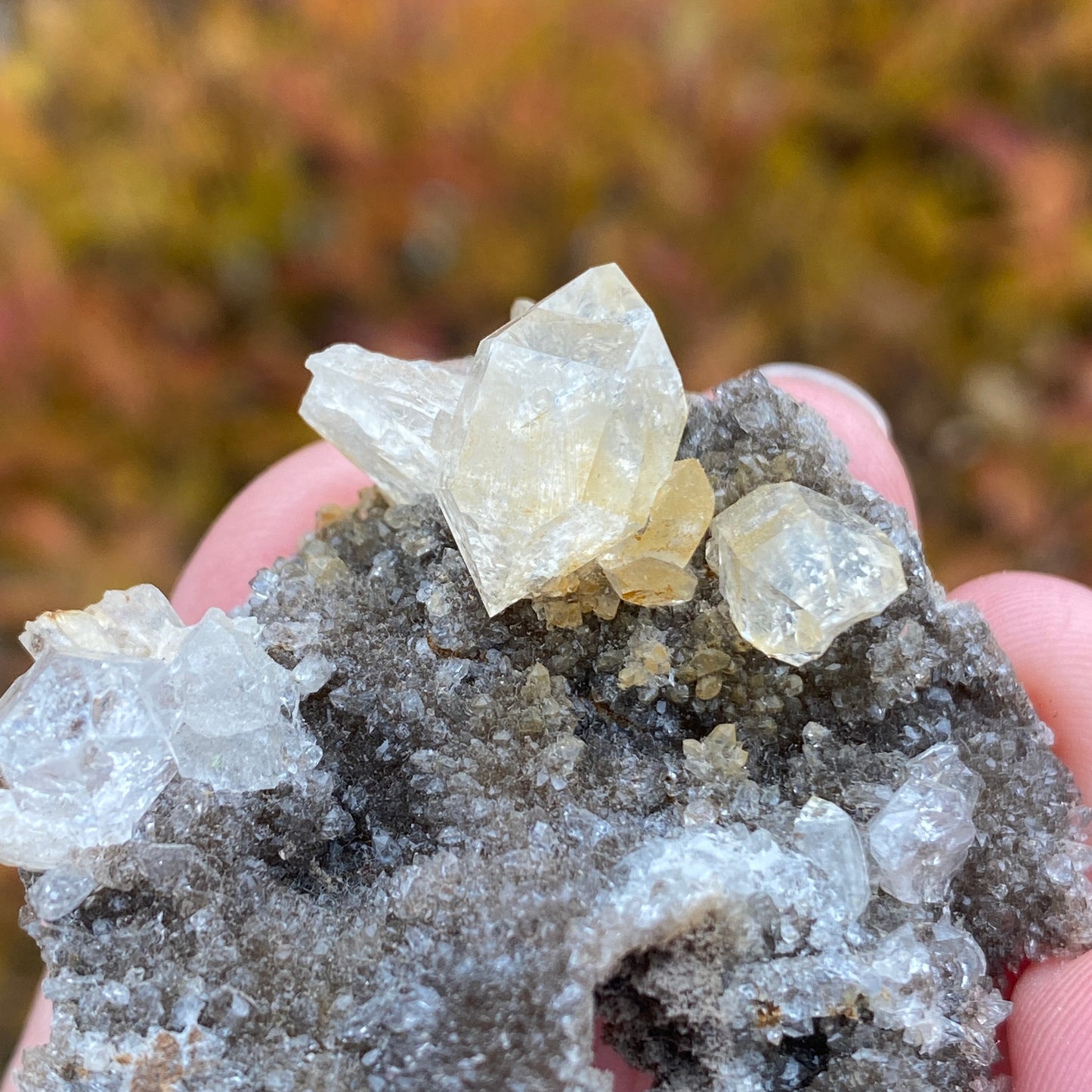 Herkimer Diamond in Matrix