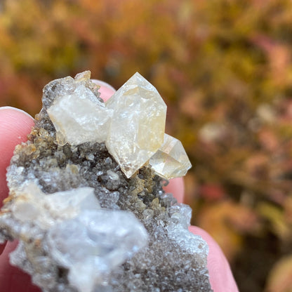 Herkimer Diamond in Matrix