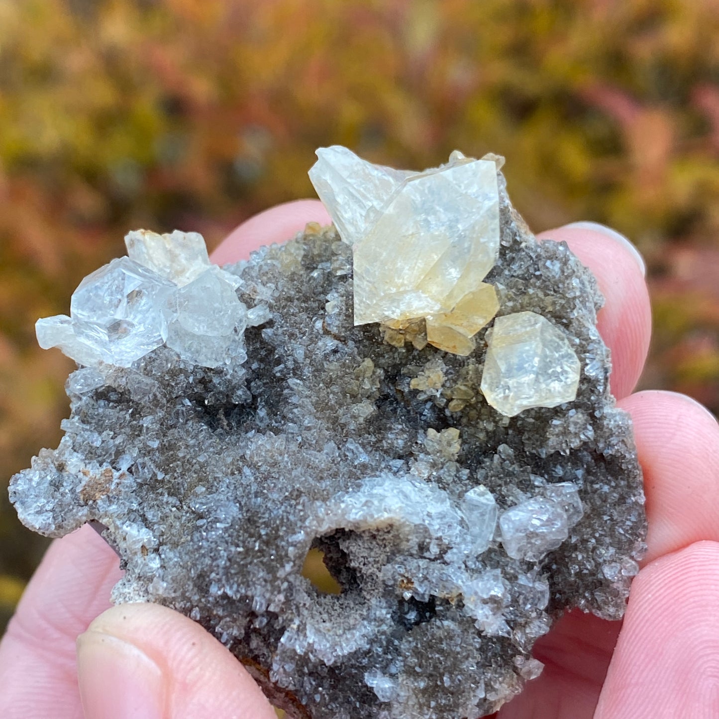 Herkimer Diamond in Matrix