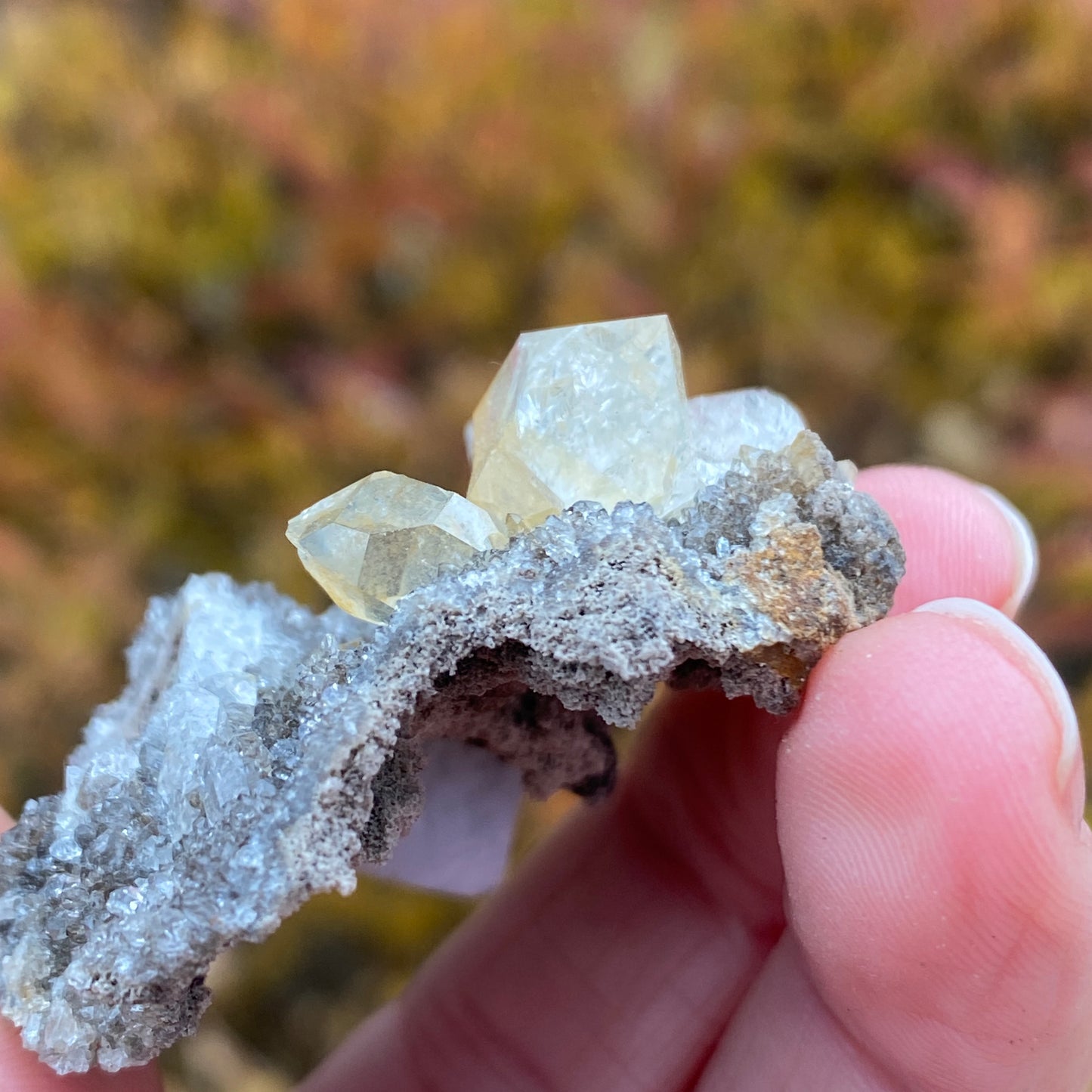 Herkimer Diamond in Matrix