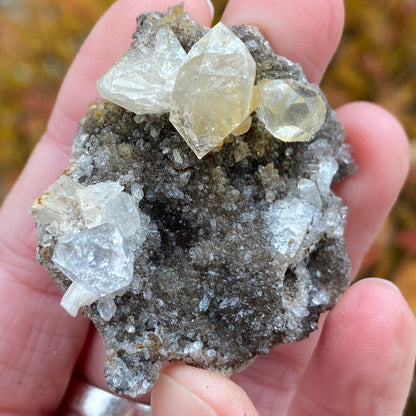 Herkimer Diamond in Matrix