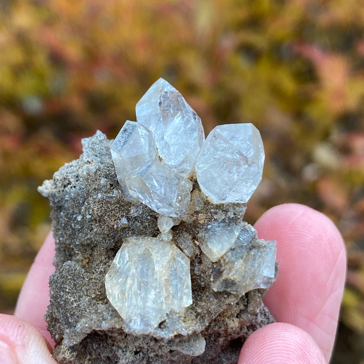 Herkimer Diamond in Matrix