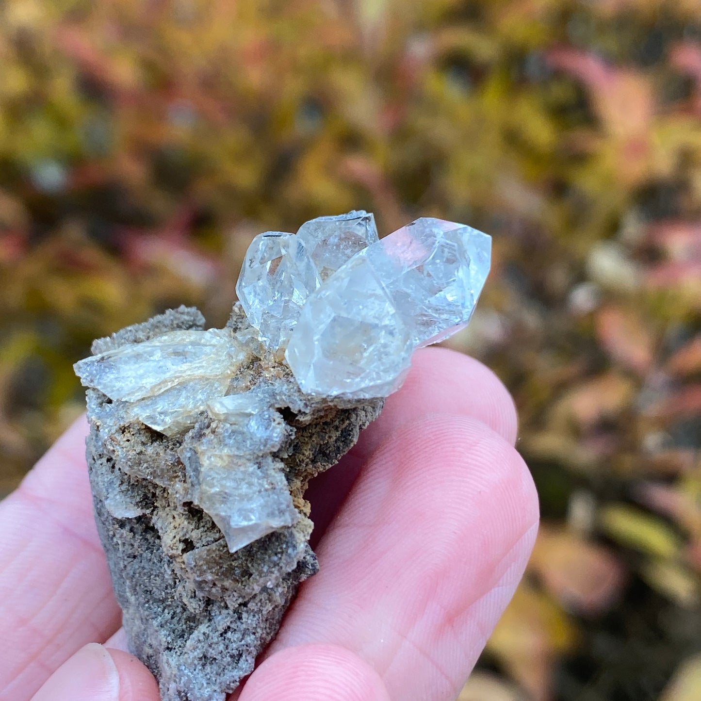 Herkimer Diamond in Matrix