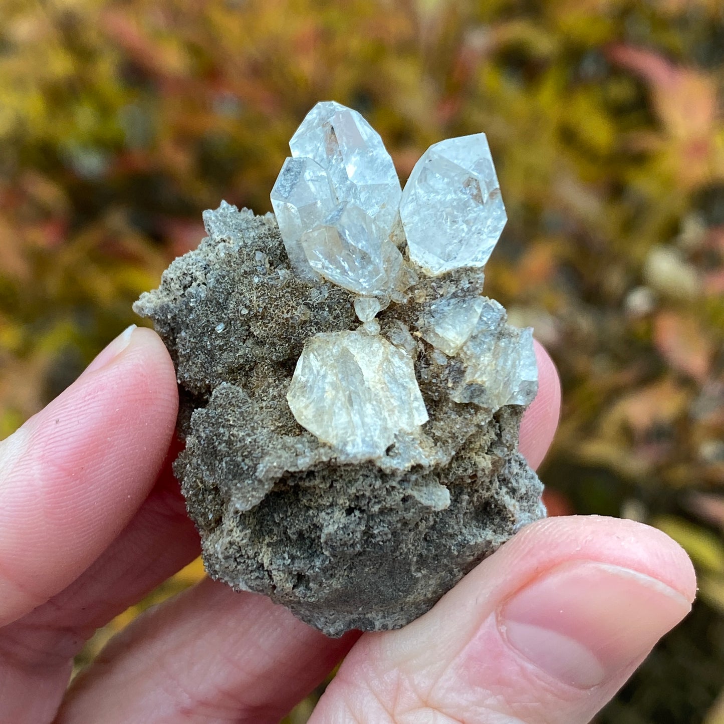Herkimer Diamond in Matrix