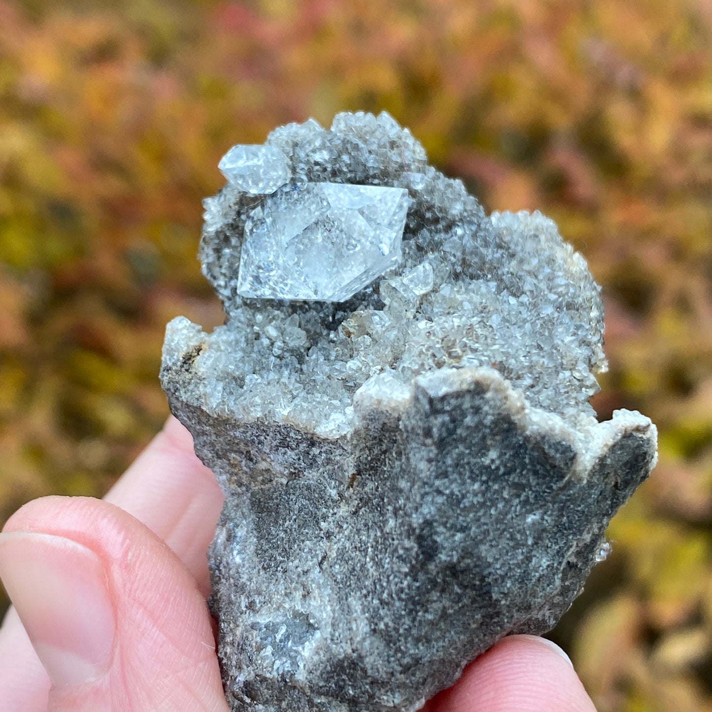 Herkimer Diamond in Matrix