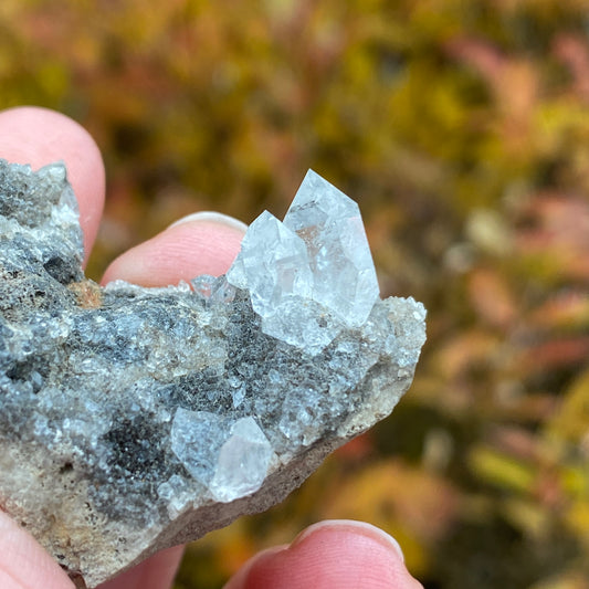 Herkimer Diamond in Matrix