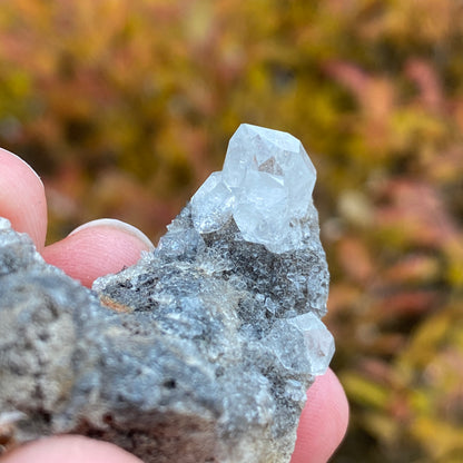 Herkimer Diamond in Matrix