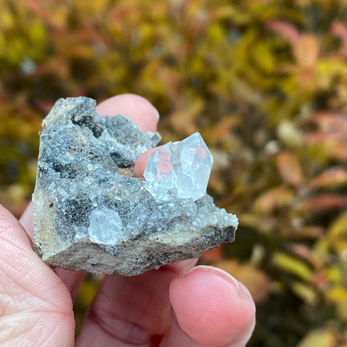 Herkimer Diamond in Matrix