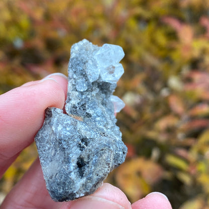 Herkimer Diamond in Matrix