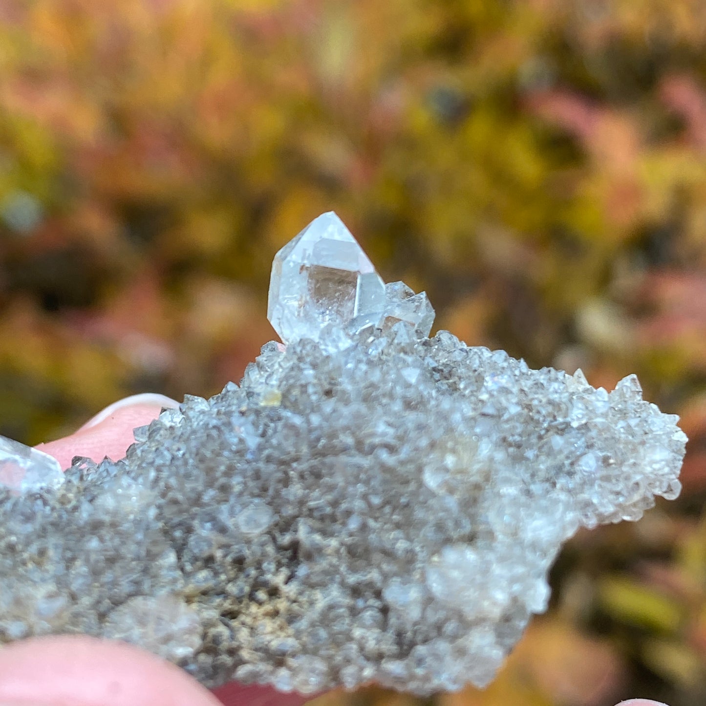 Herkimer Diamond in Matrix