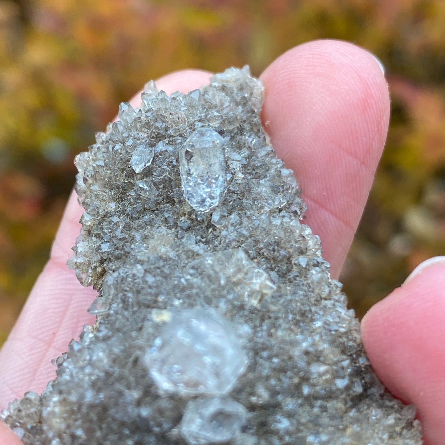 Herkimer Diamond in Matrix