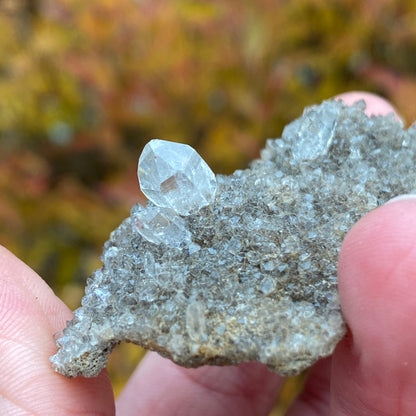 Herkimer Diamond in Matrix