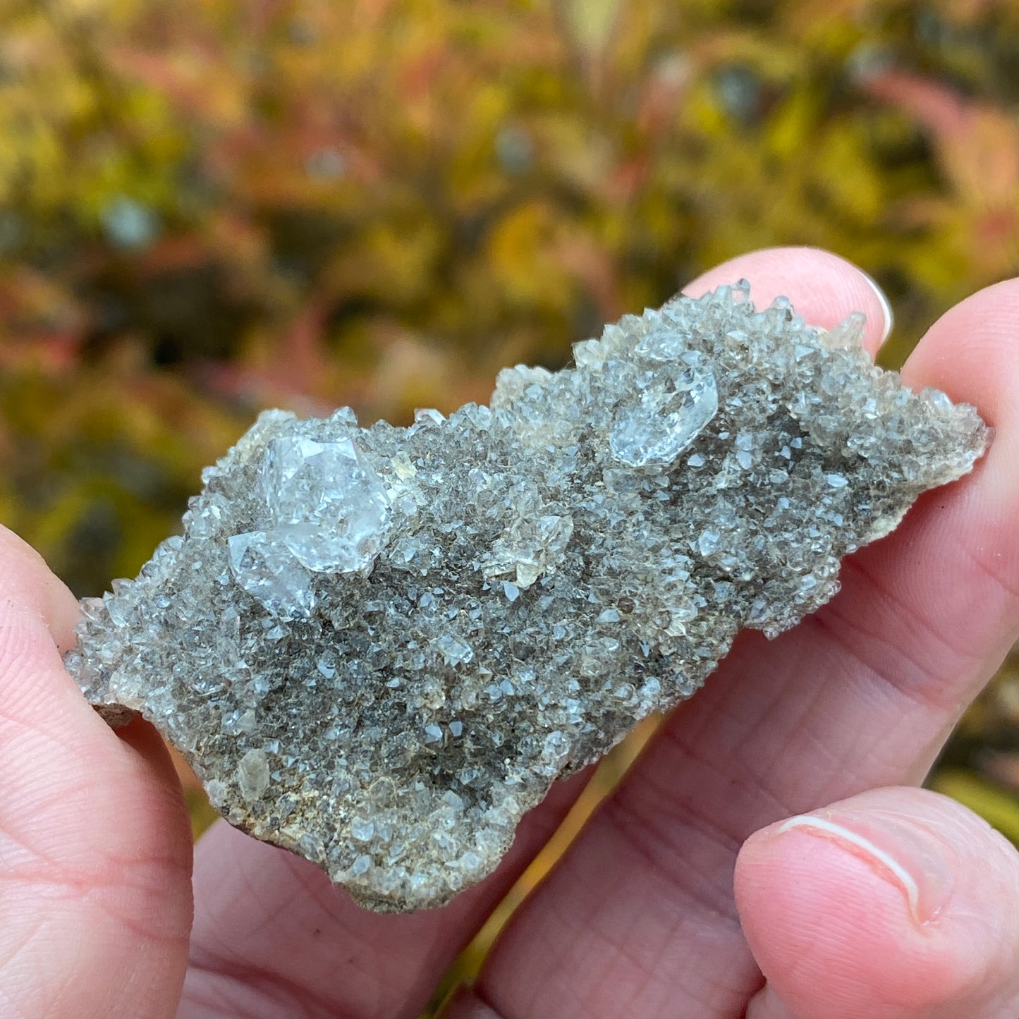 Herkimer Diamond in Matrix