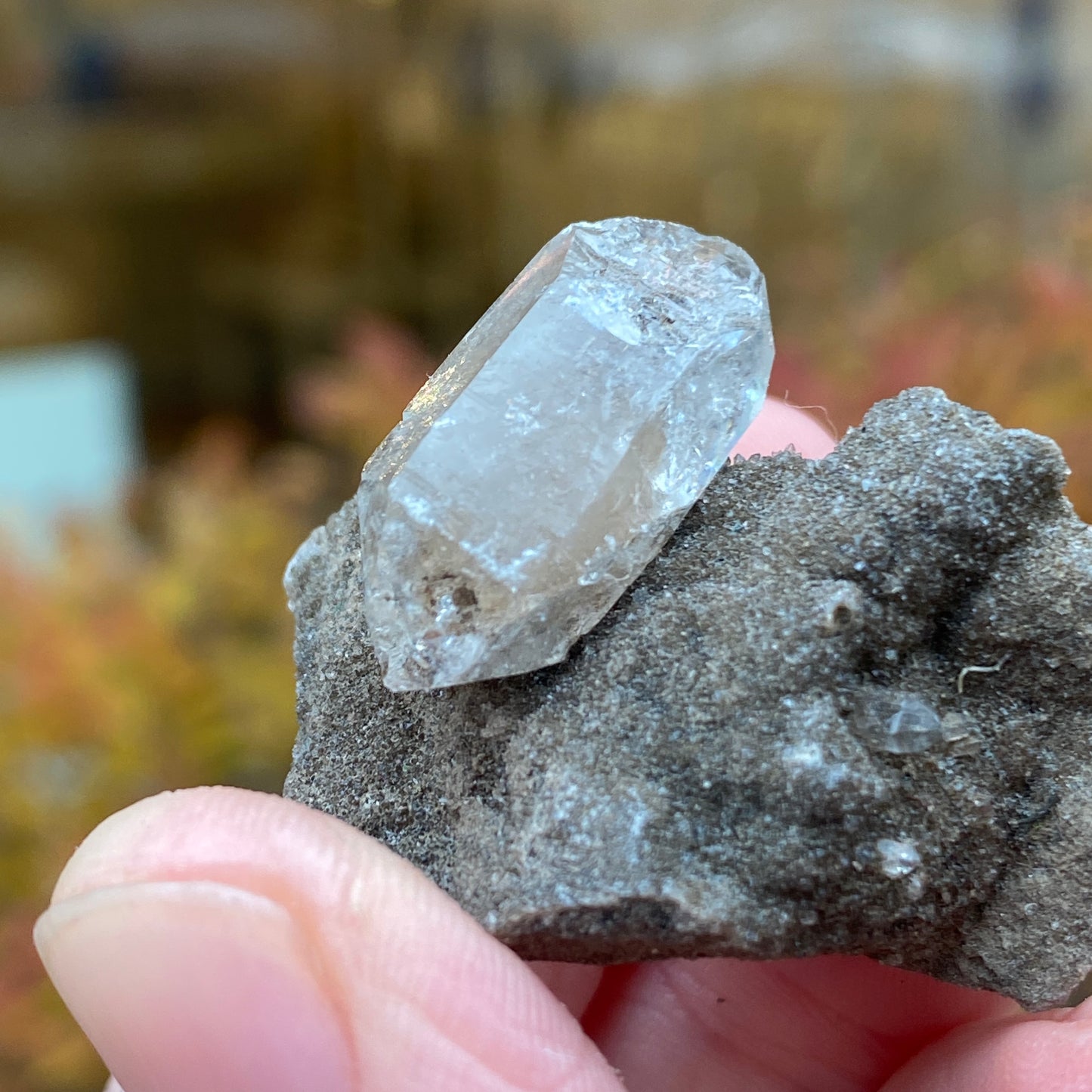 Herkimer Diamond in Matrix