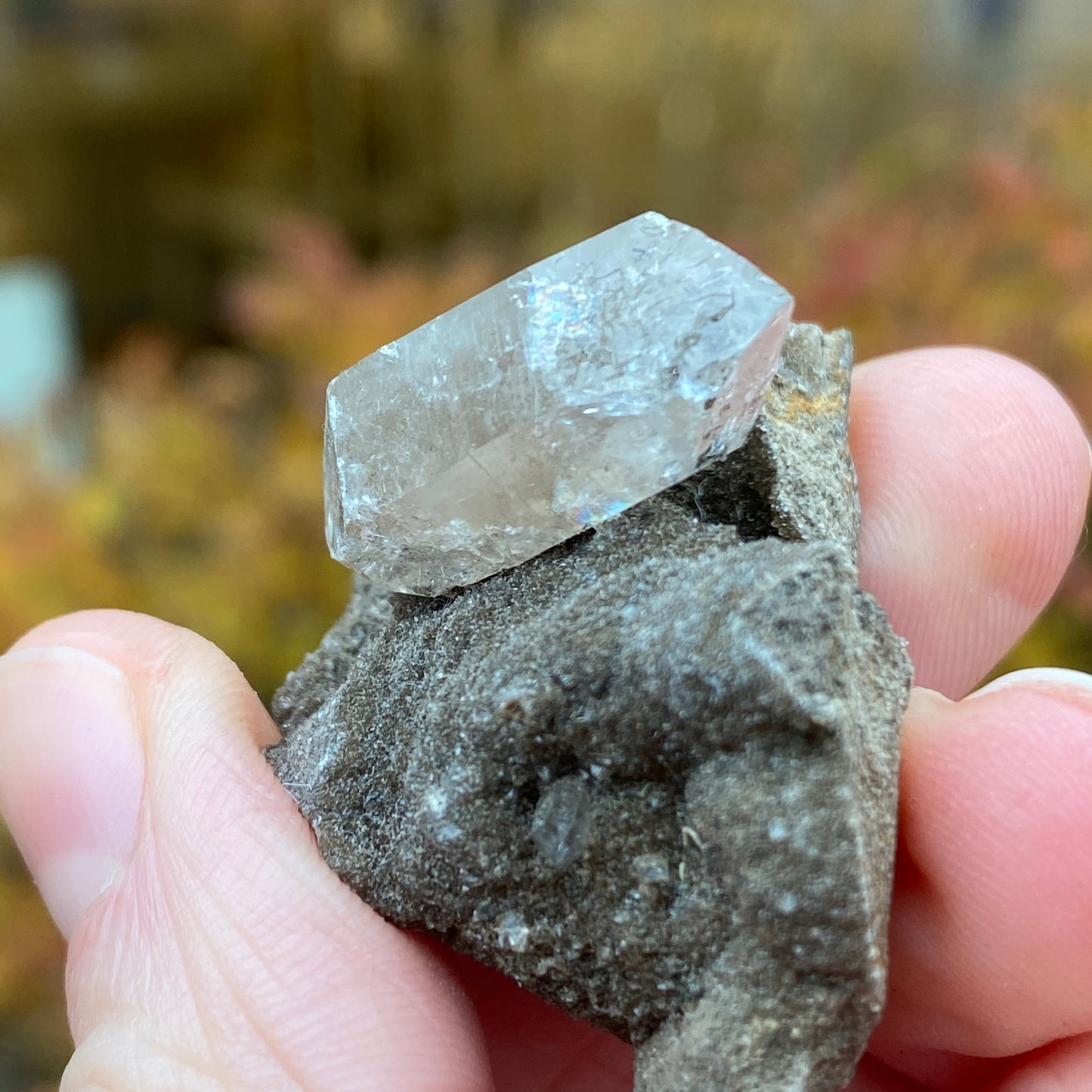 Herkimer Diamond in Matrix