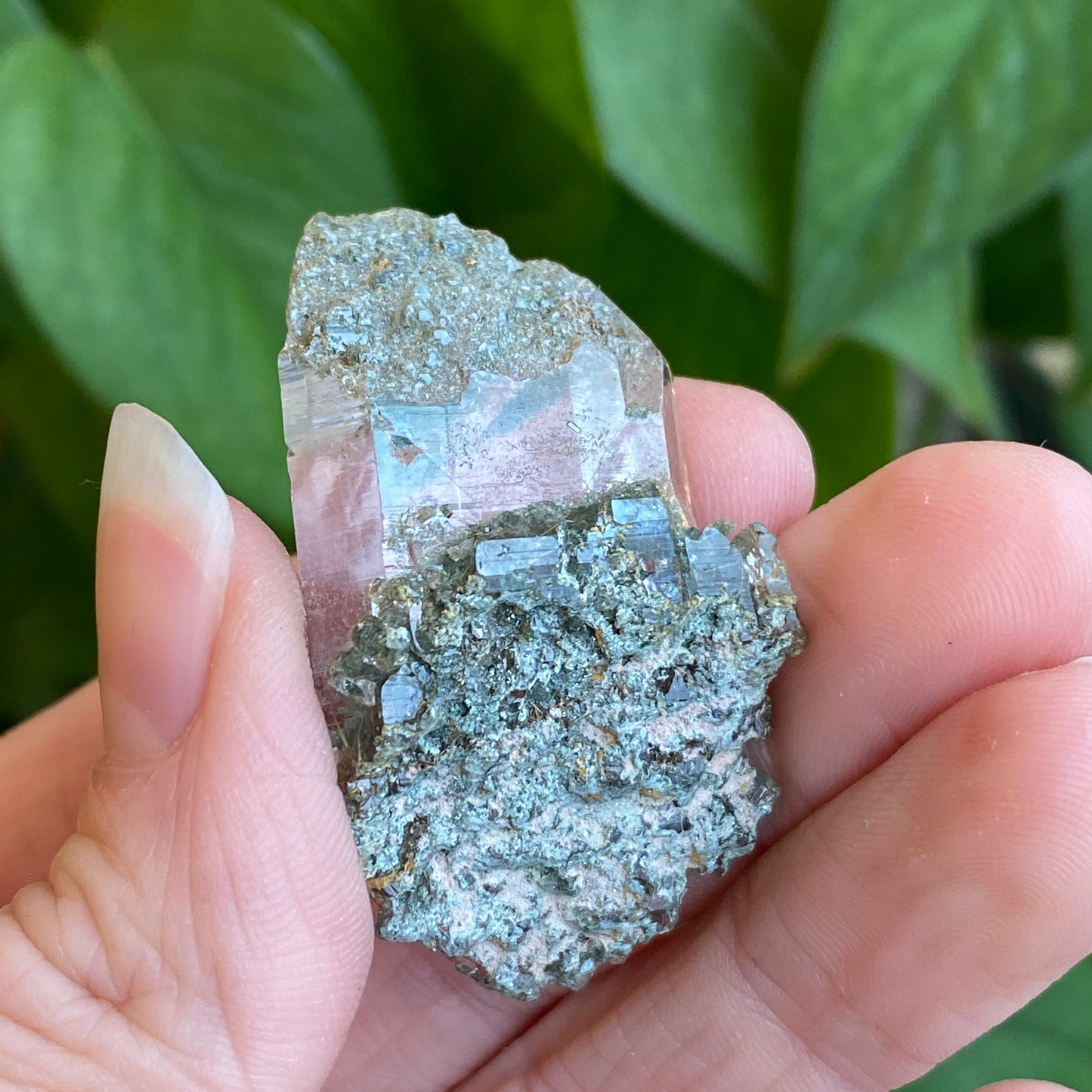 High Altitude Quartz with Chlorite and Rutile