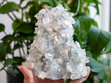High Quality Apophyllite Stalactite Specimen