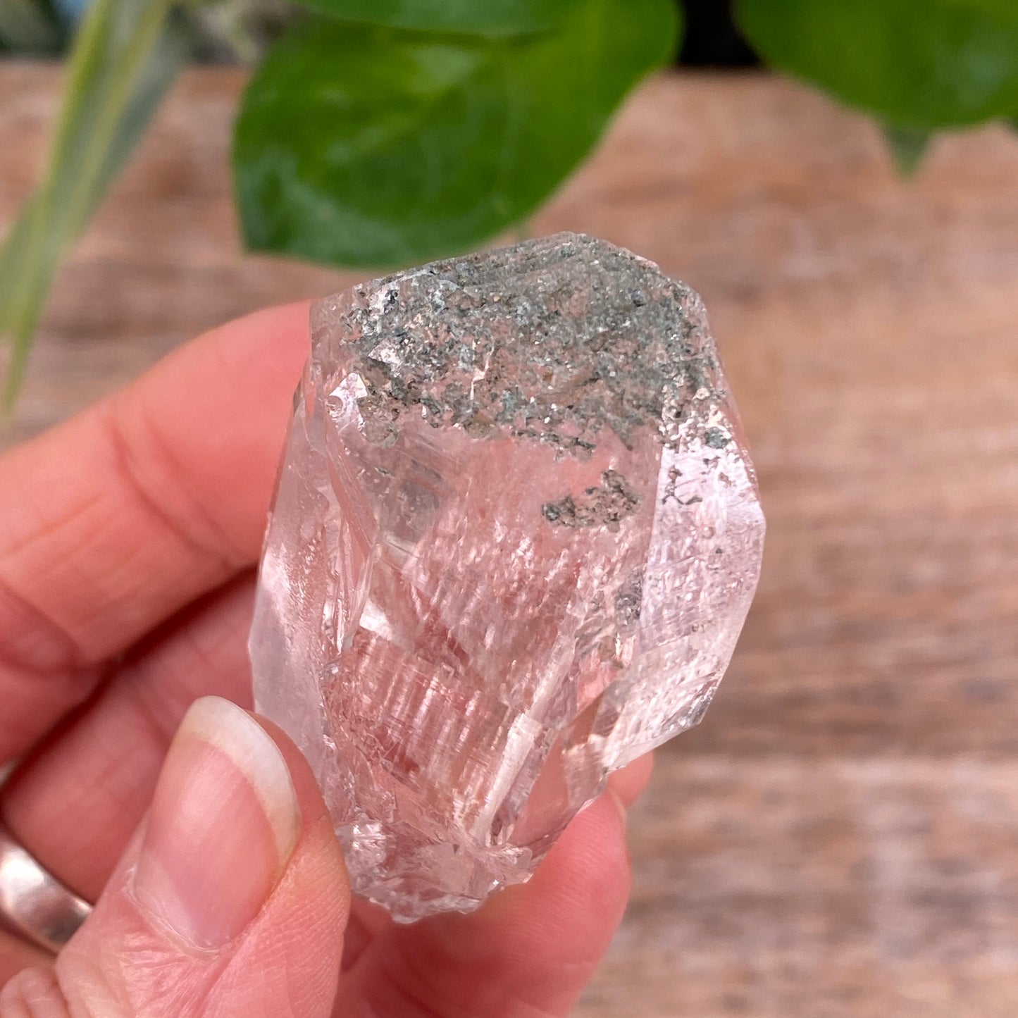 High Altitude Quartz with Chlorite, K2 Mountains