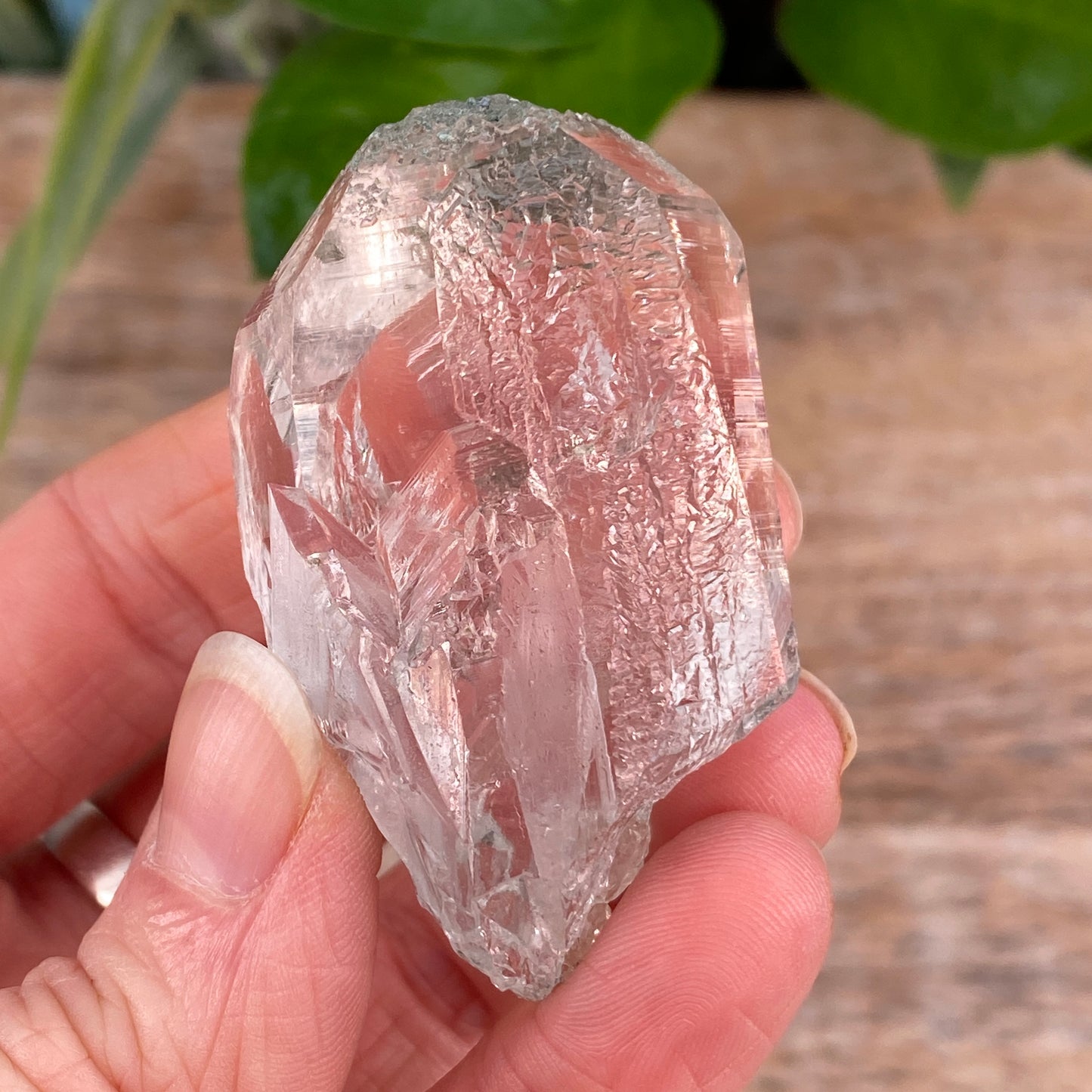 High Altitude Quartz with Chlorite, K2 Mountains