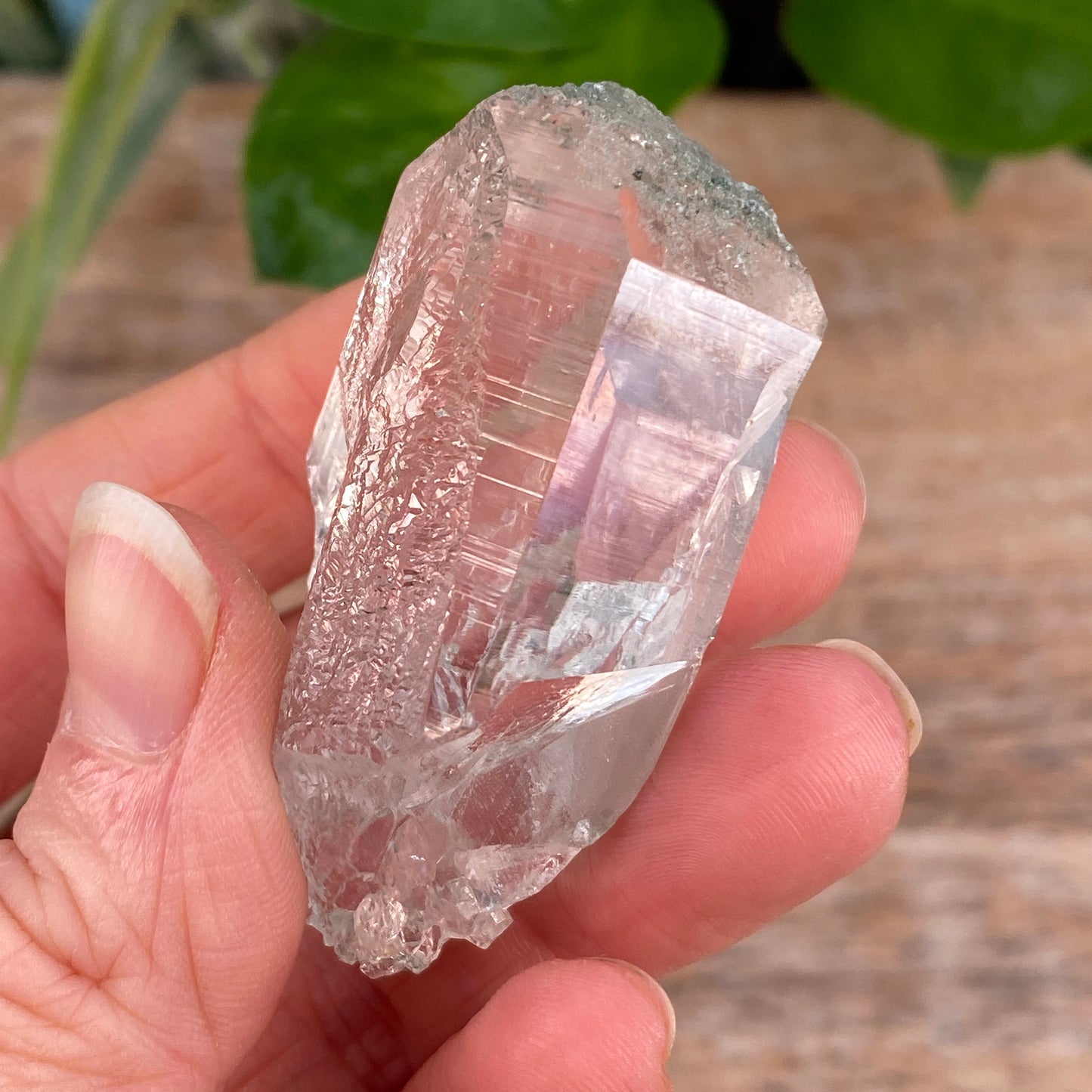 High Altitude Quartz with Chlorite, K2 Mountains