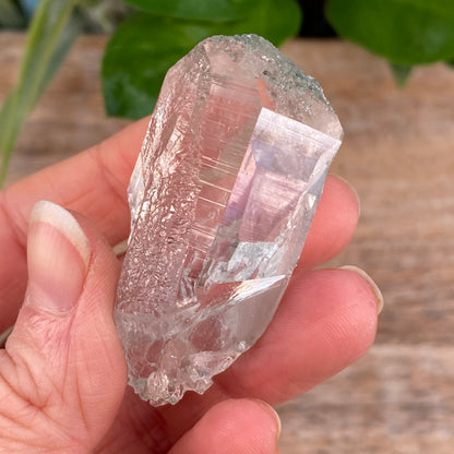 High Altitude Quartz with Chlorite, K2 Mountains