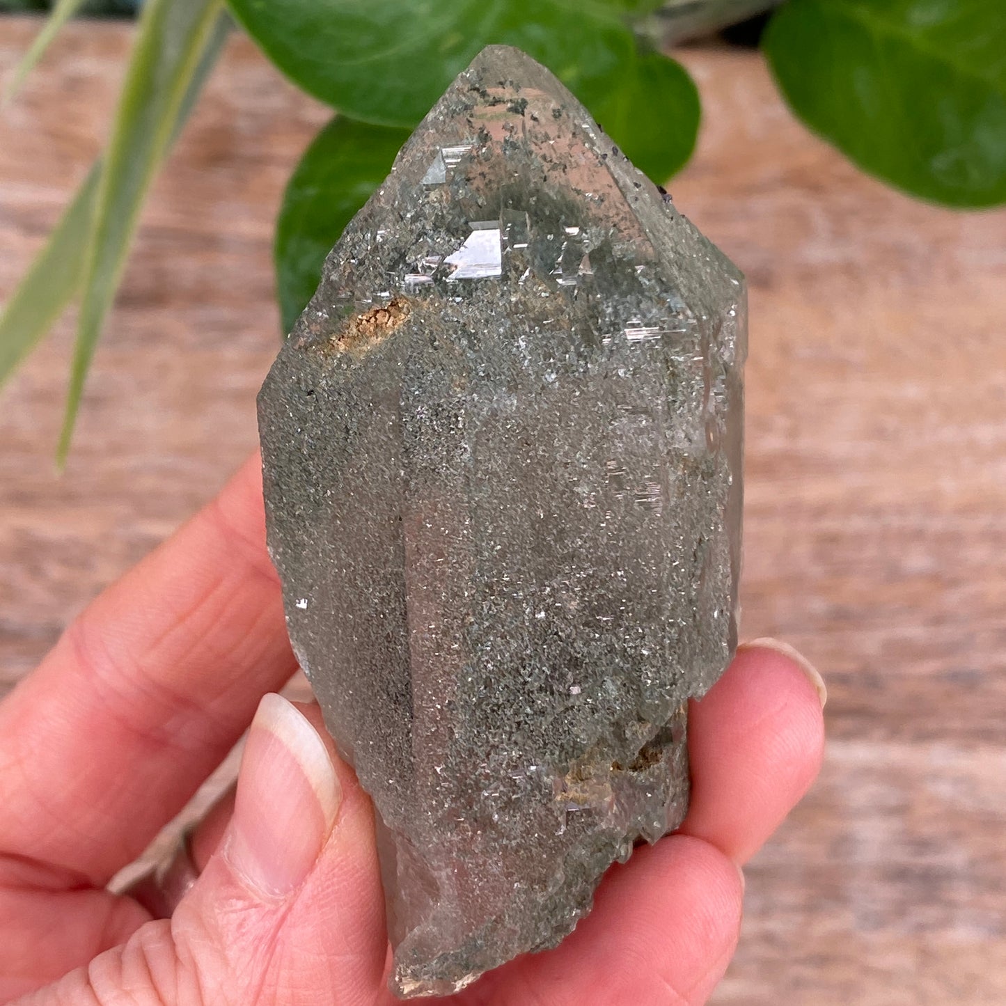 High Altitude Quartz with Chlorite, K2 Mountains