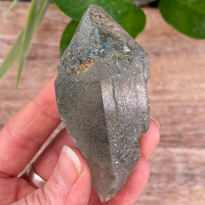 High Altitude Quartz with Chlorite, K2 Mountains