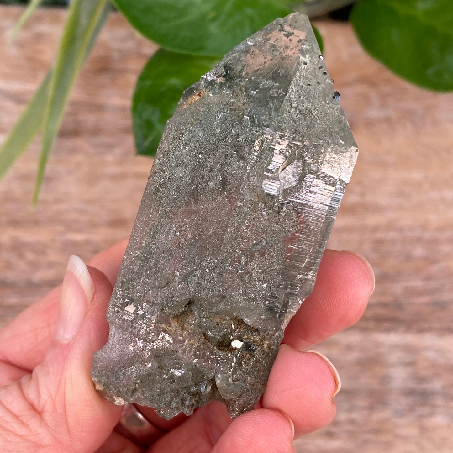 High Altitude Quartz with Chlorite, K2 Mountains