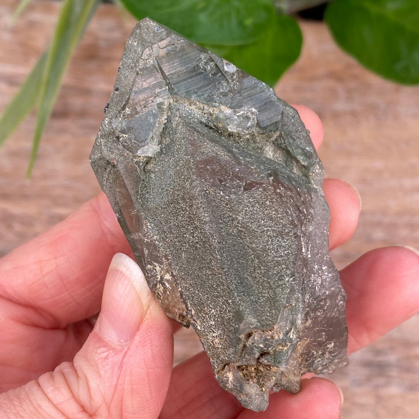 High Altitude Quartz with Chlorite, K2 Mountains