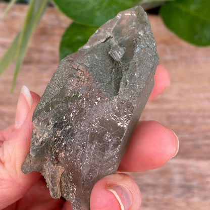 High Altitude Quartz with Chlorite, K2 Mountains