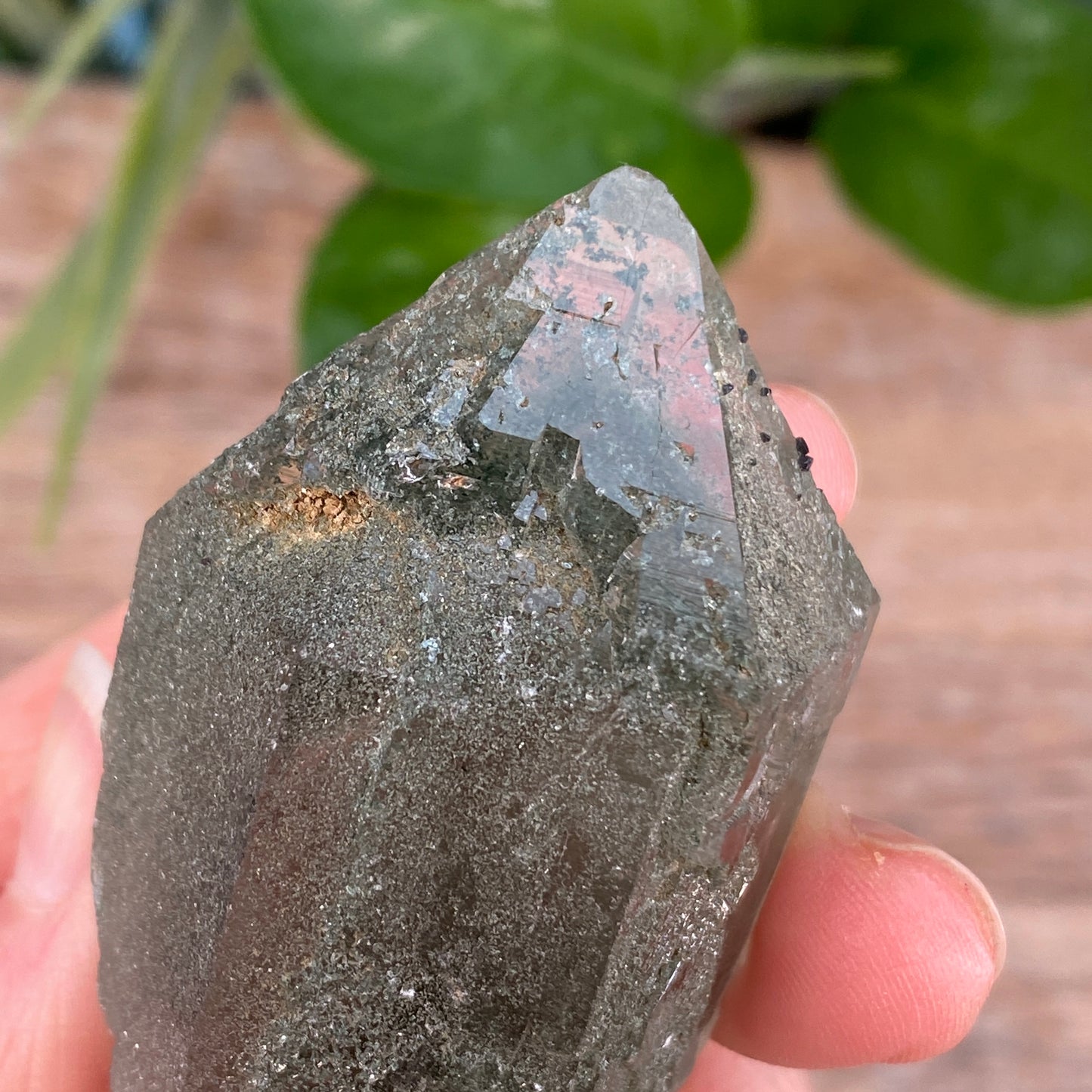 High Altitude Quartz with Chlorite, K2 Mountains