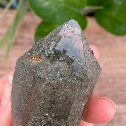 High Altitude Quartz with Chlorite, K2 Mountains