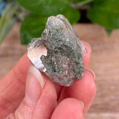 HIgh Altitude Quartz with Chlorite and Rutile, K2 Mountains