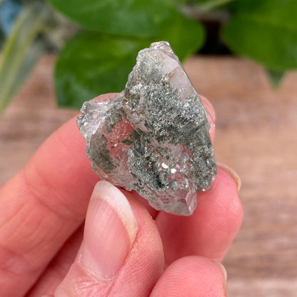 HIgh Altitude Quartz with Chlorite and Rutile, K2 Mountains