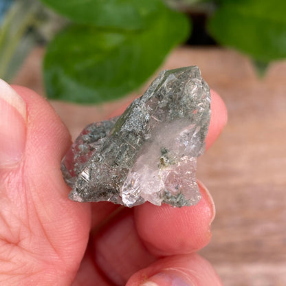 HIgh Altitude Quartz with Chlorite and Rutile, K2 Mountains
