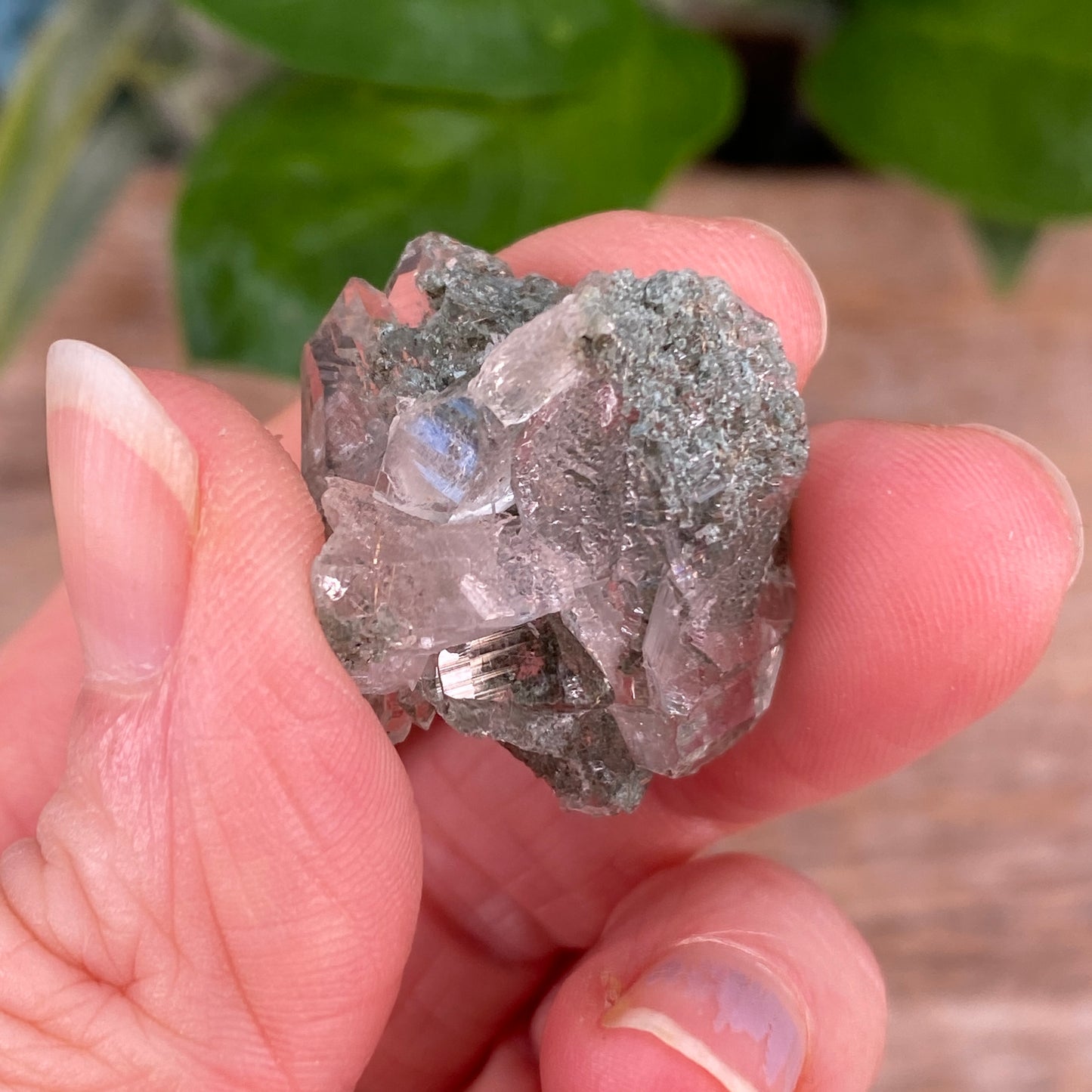 HIgh Altitude Quartz with Chlorite and Rutile, K2 Mountains