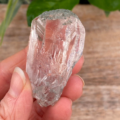 High Altitude Quartz with Chlorite, K2 Mountains