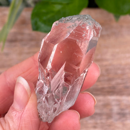 High Altitude Quartz with Chlorite, K2 Mountains