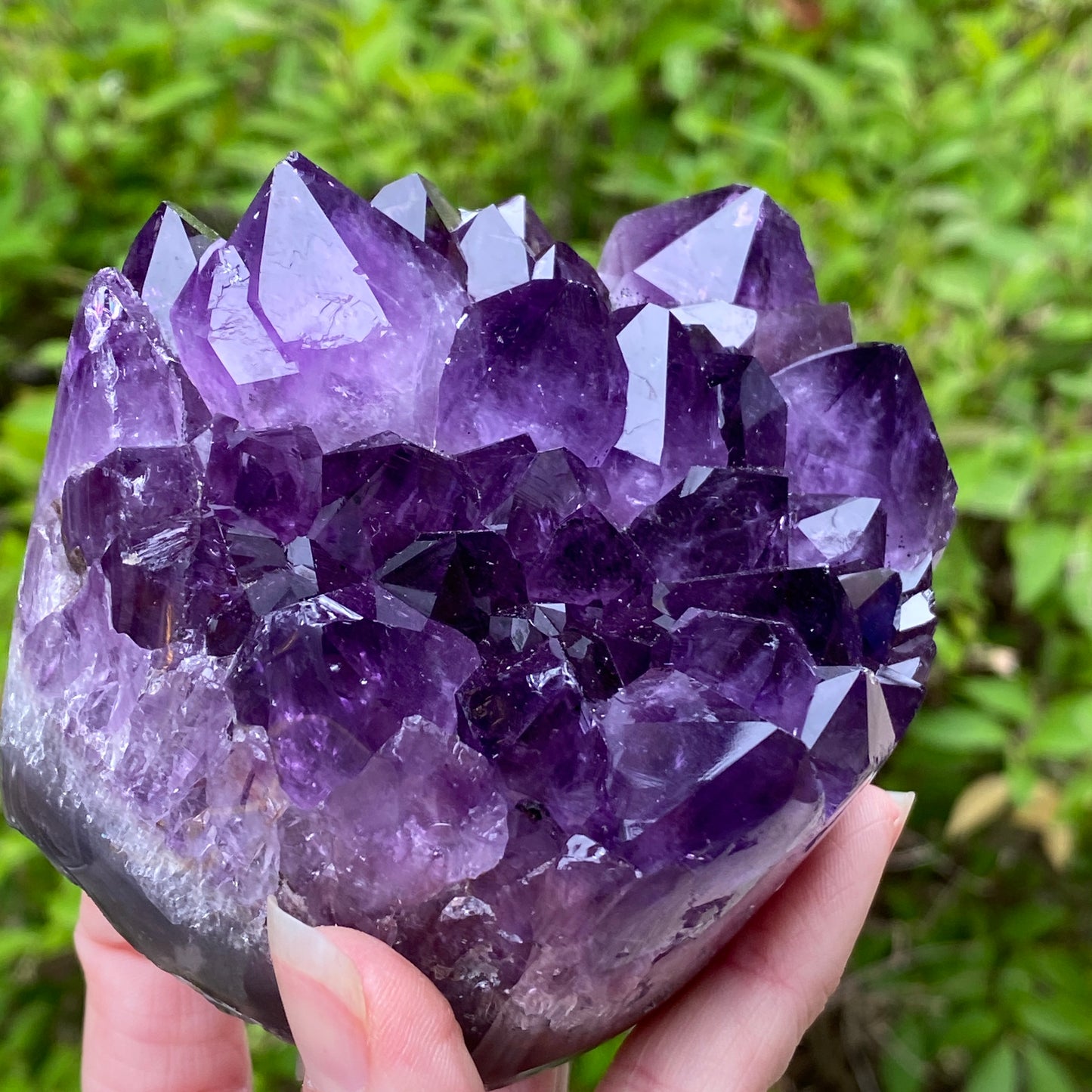 High Grade Amethyst Cluster