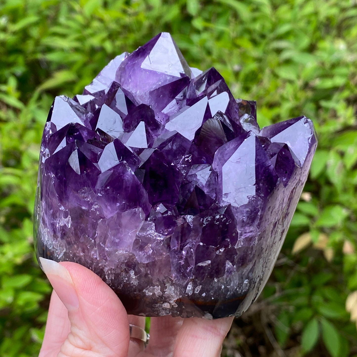 High Grade Amethyst Cluster