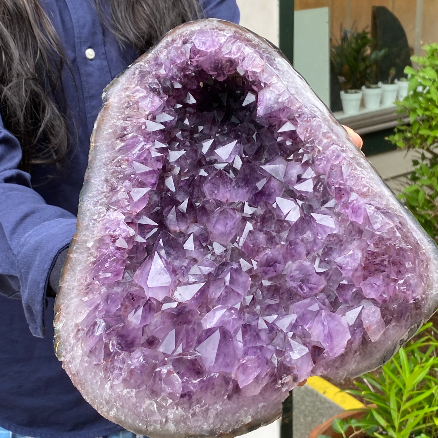 Large Amethyst 'Dish' Shaped Geode