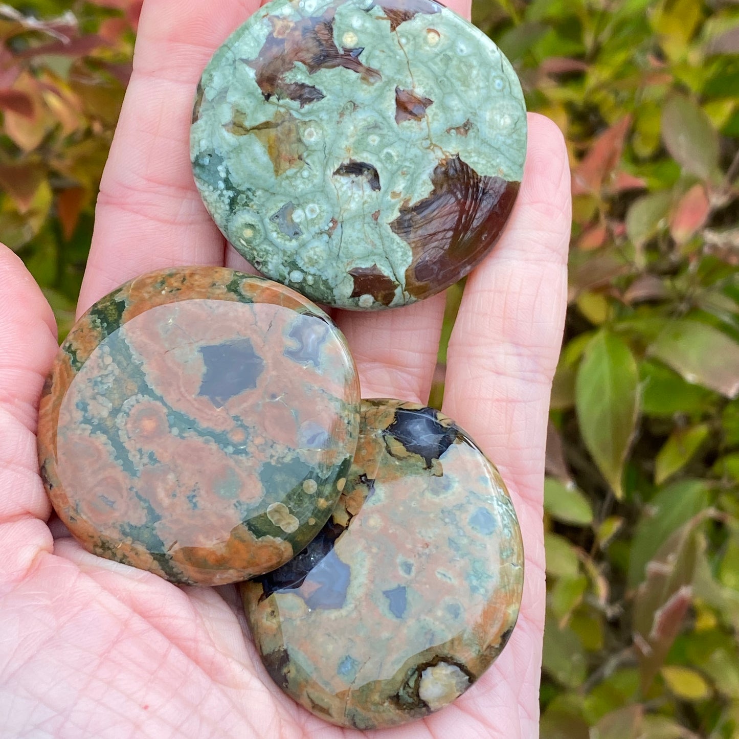 Rainforest Jasper Palm Stone