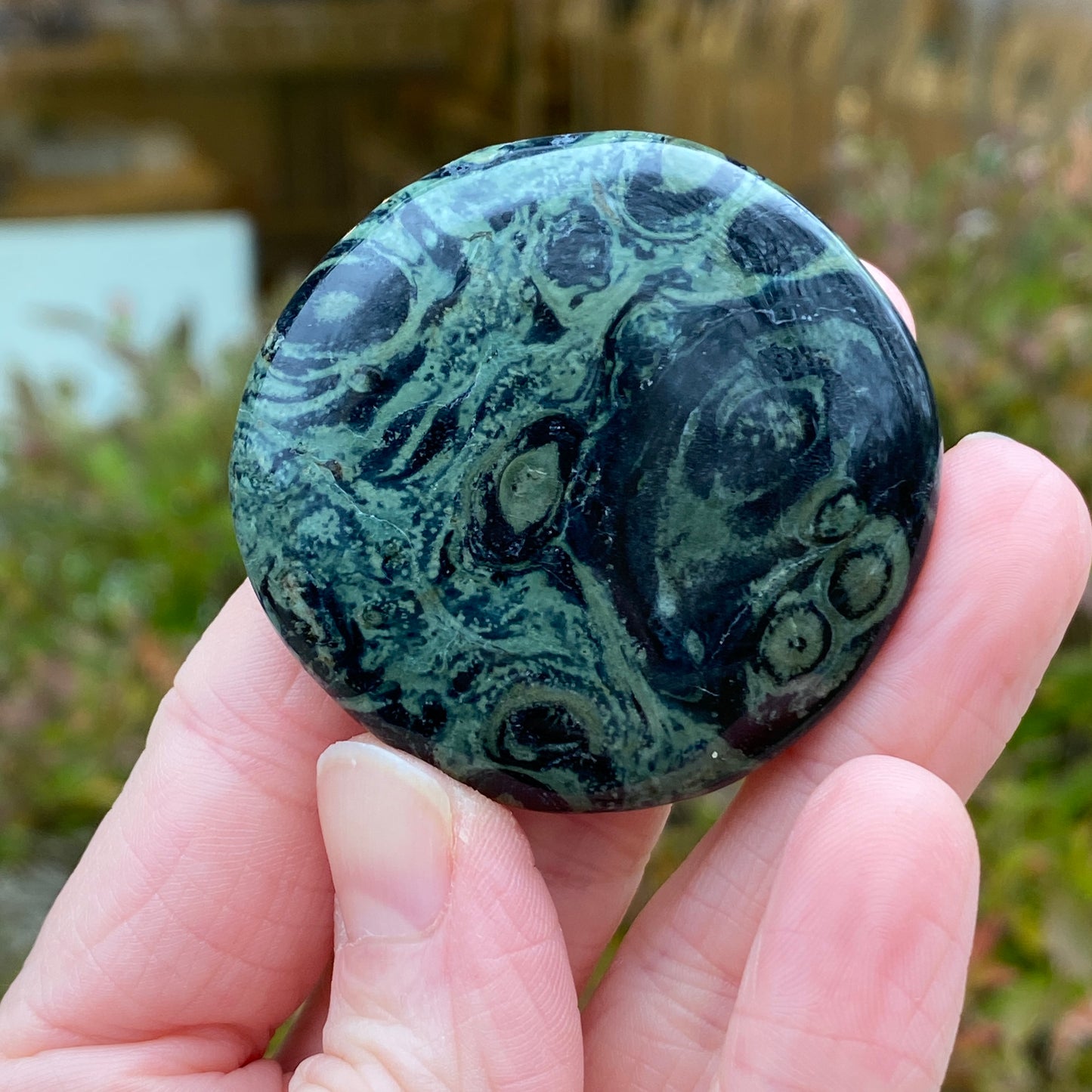 Kambaba Jasper Palm Stone