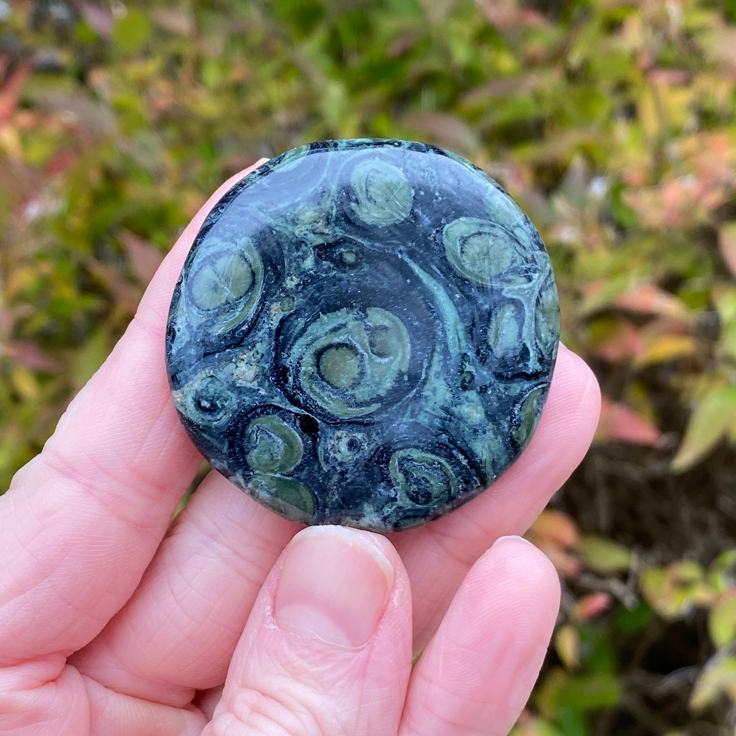 Kambaba Jasper Palm Stone