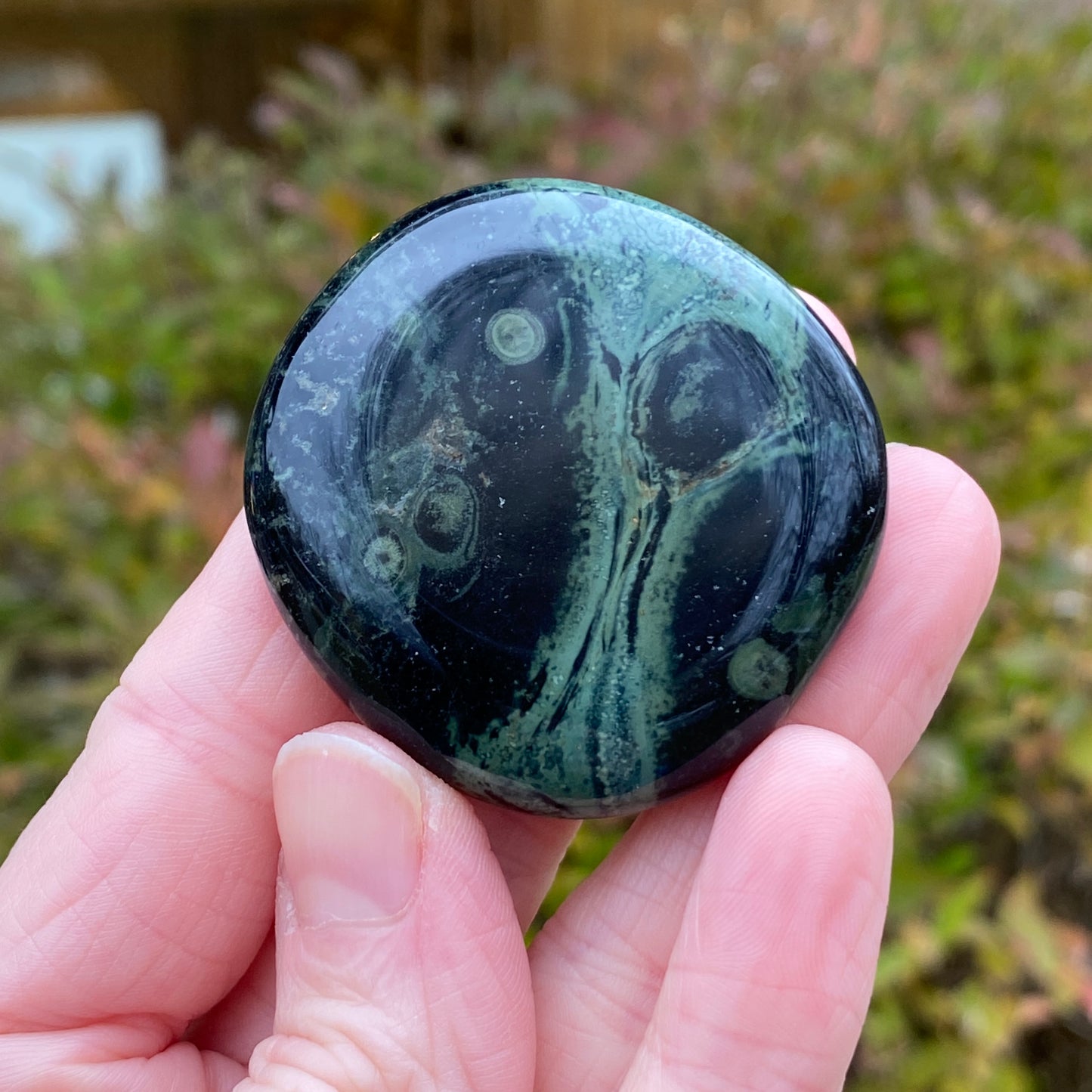 Kambaba Jasper Palm Stone