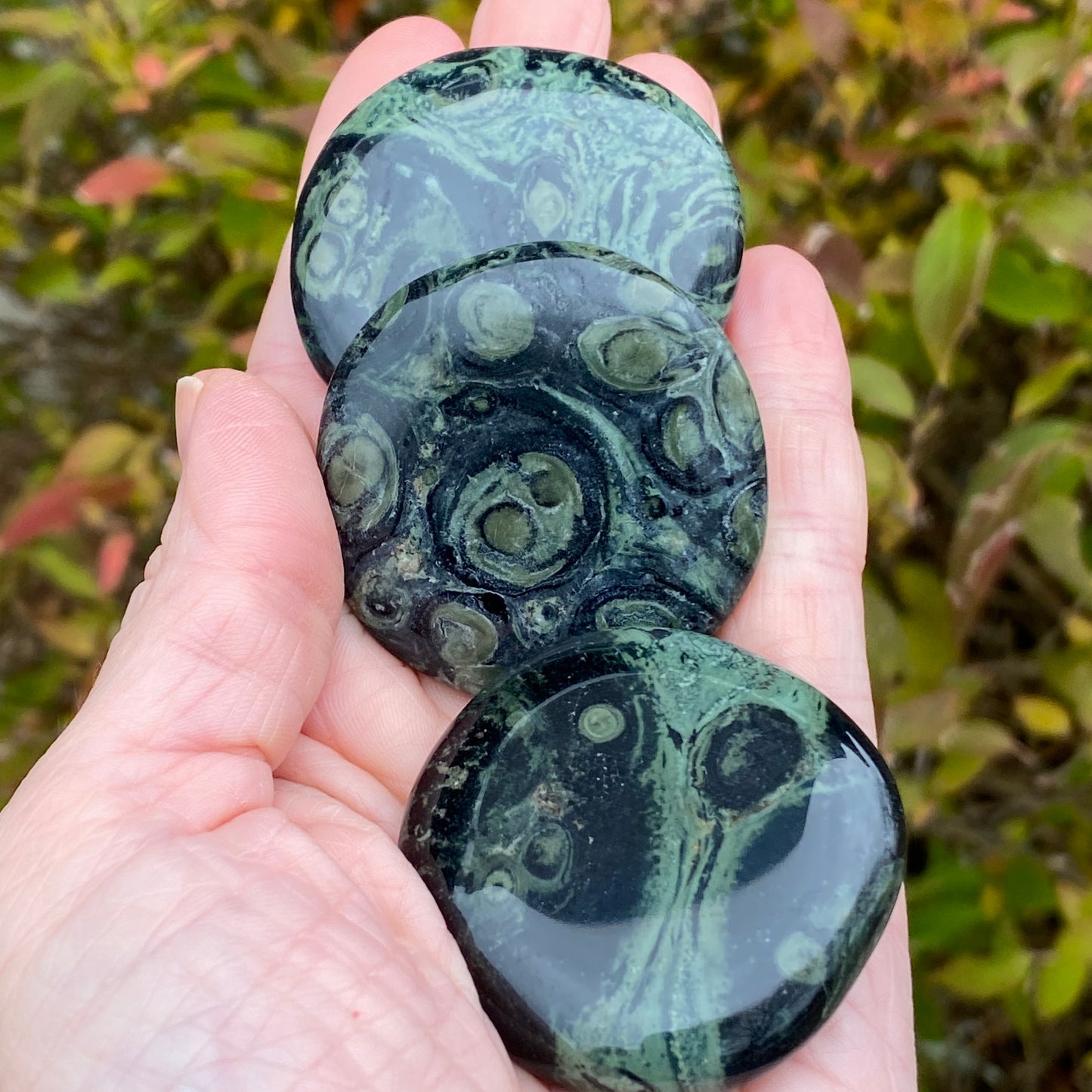 Kambaba Jasper Palm Stone
