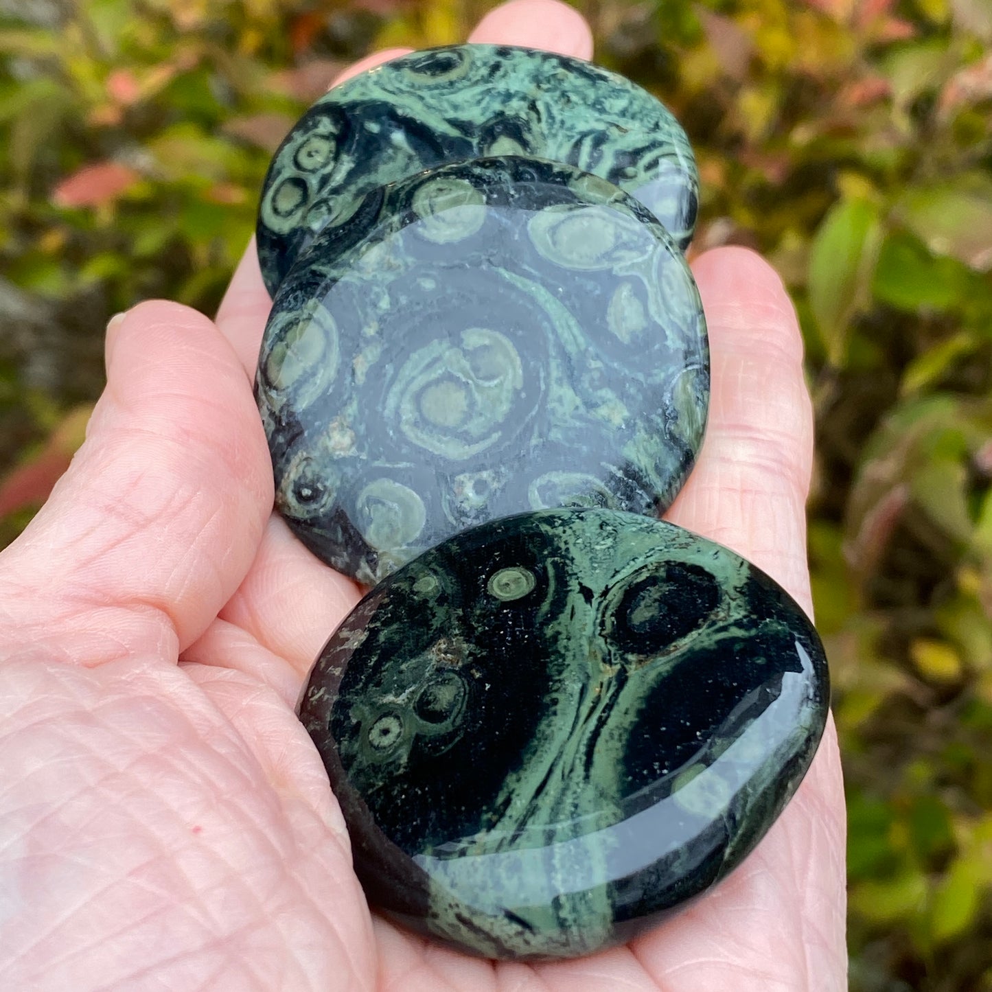 Kambaba Jasper Palm Stone
