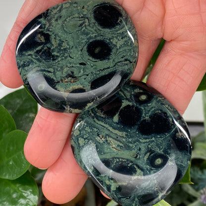 Kambaba Jasper Palm Stone