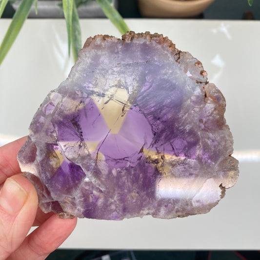 Large Ametrine Slice