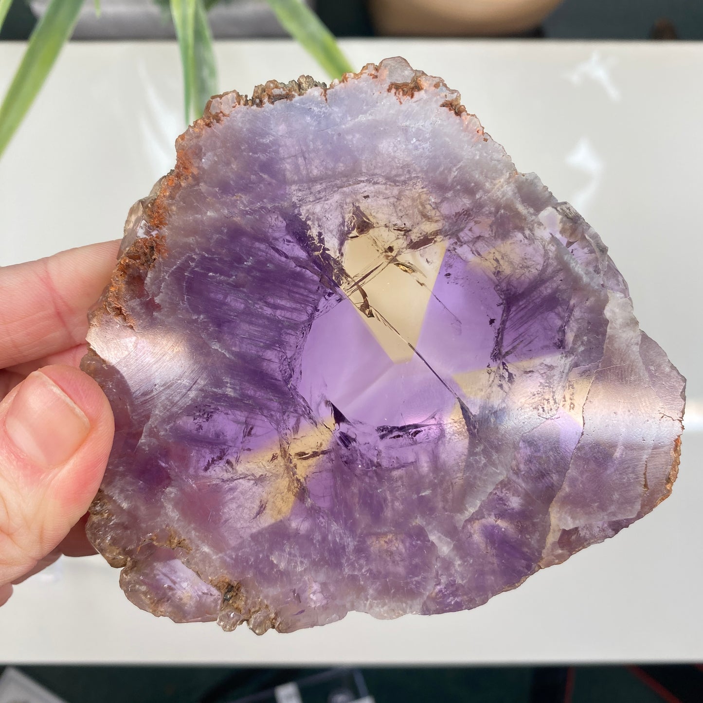 Large Ametrine Slice